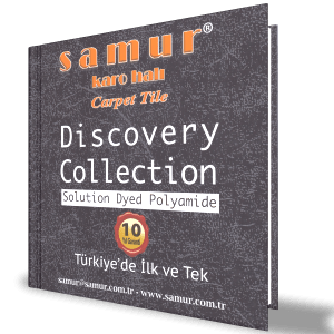 Discovery Collection 1 Discovery Collection