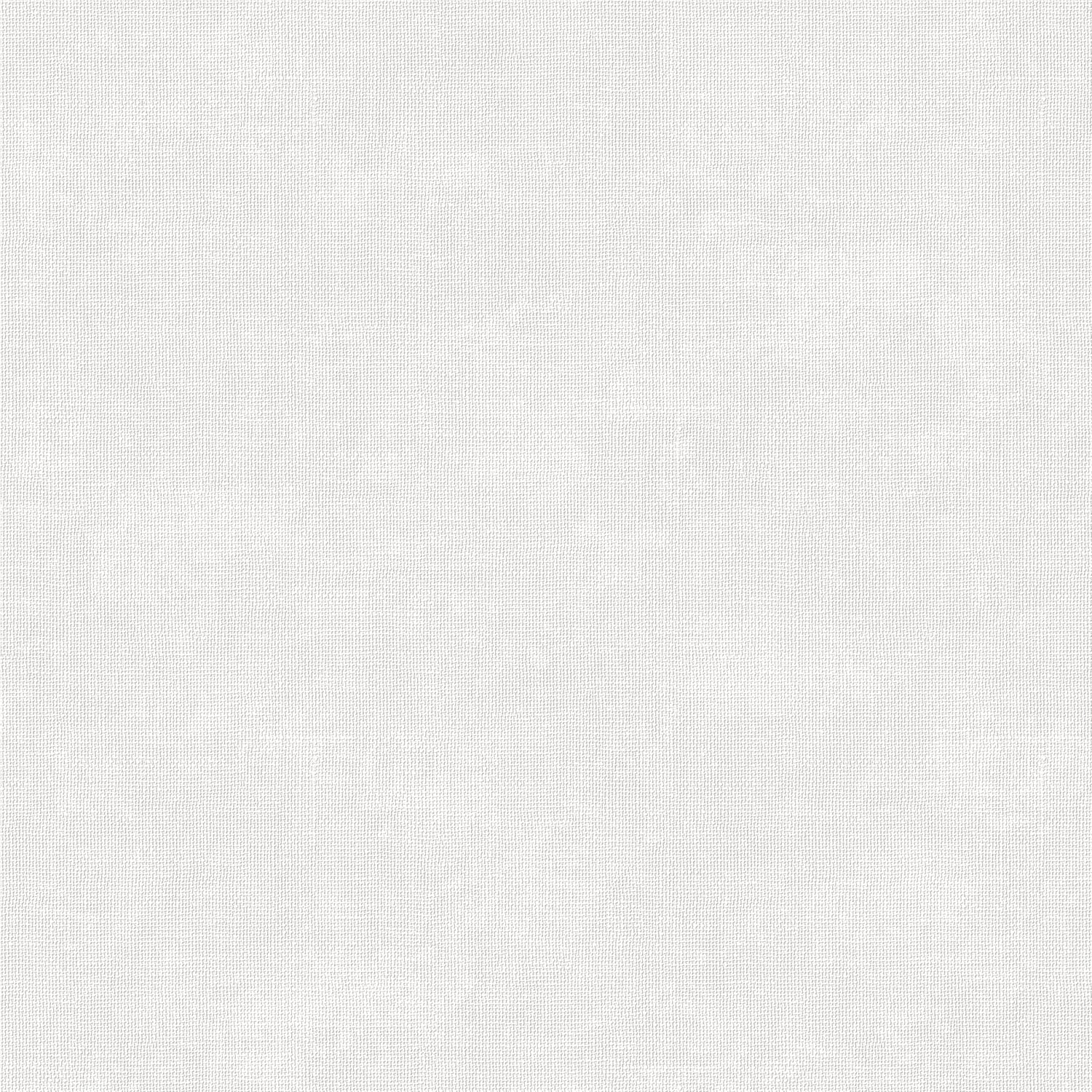 540304