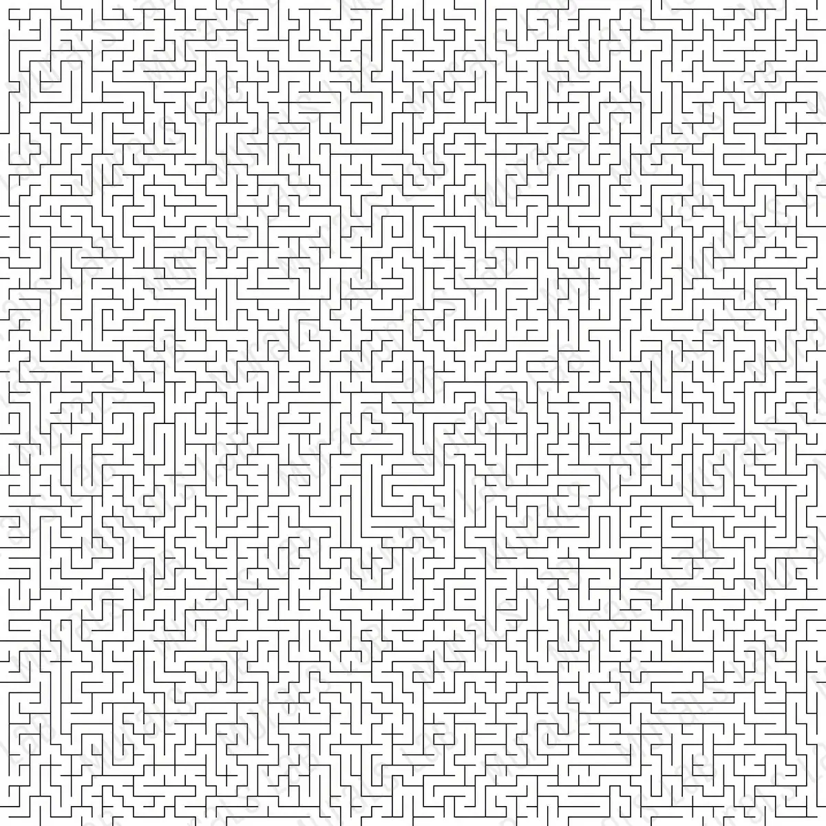 290113