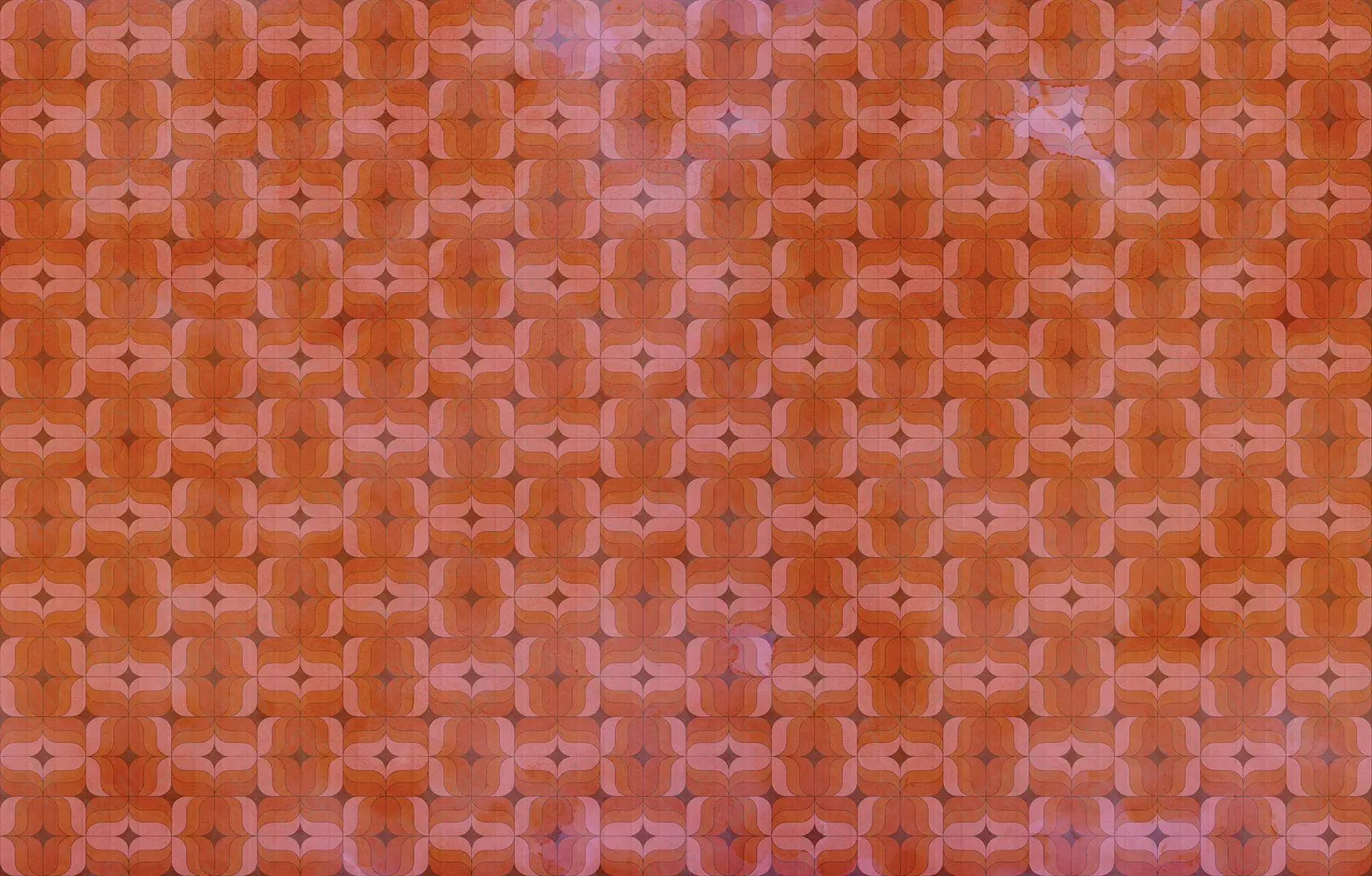 290155