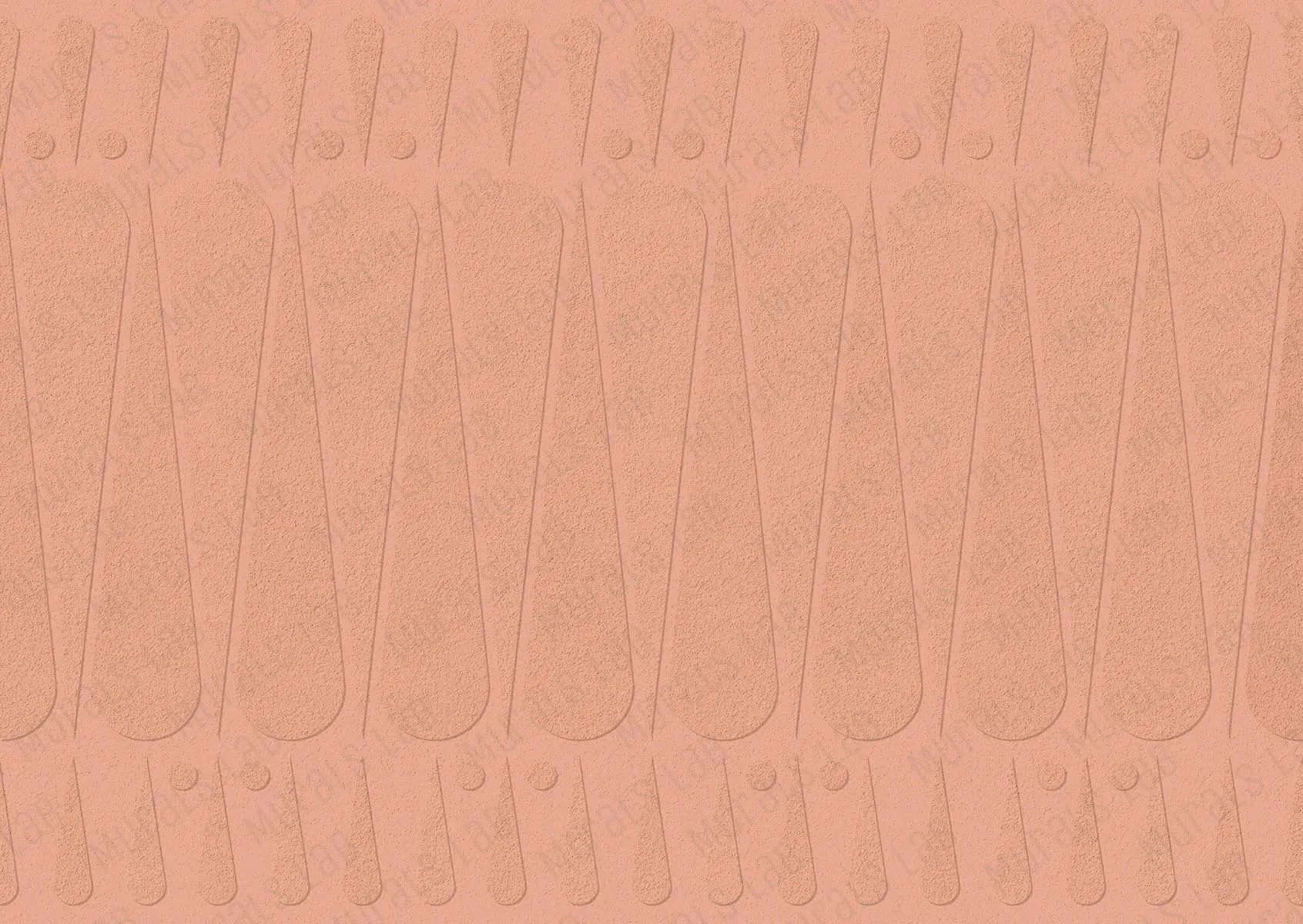 290206