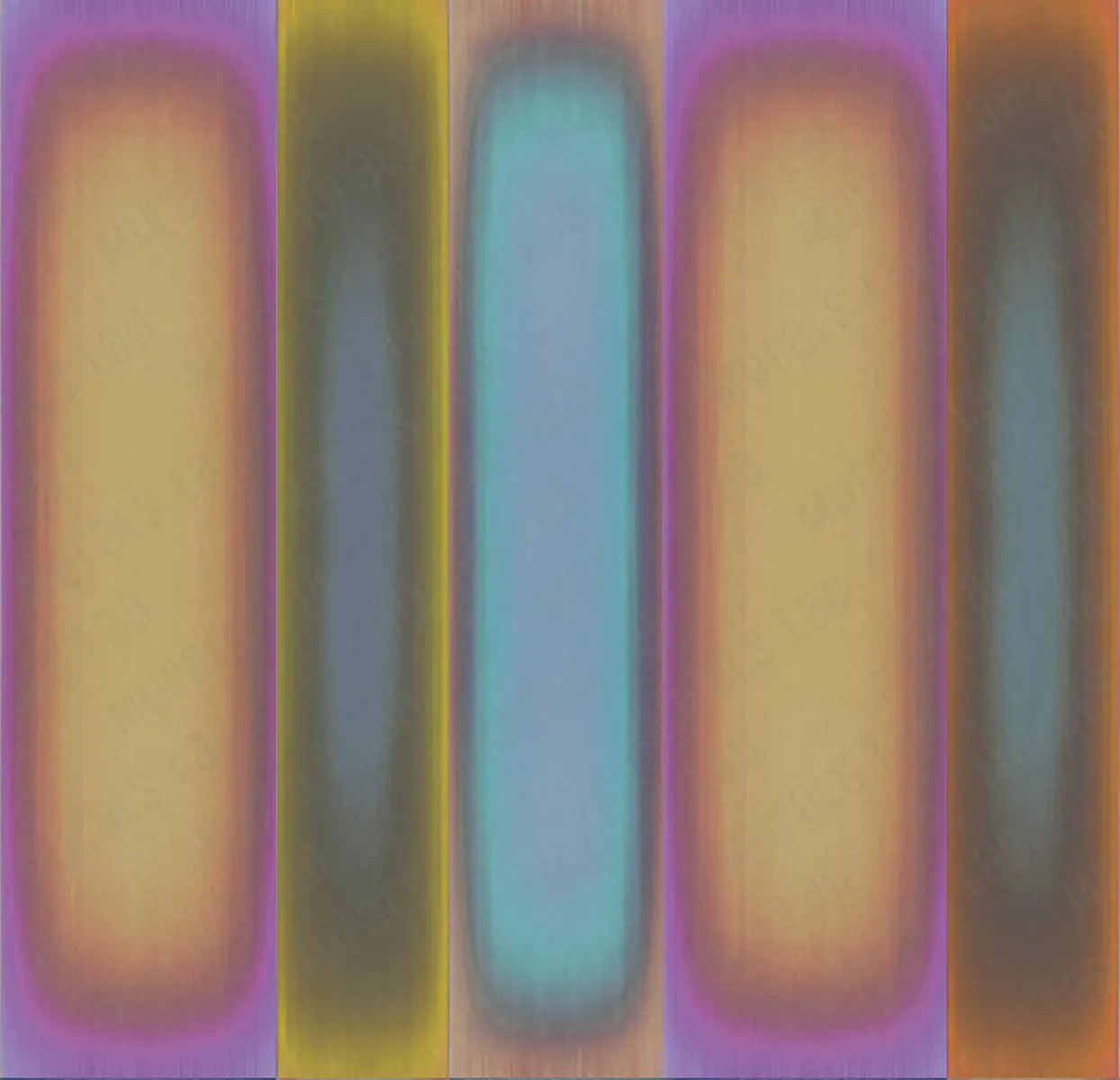 300339