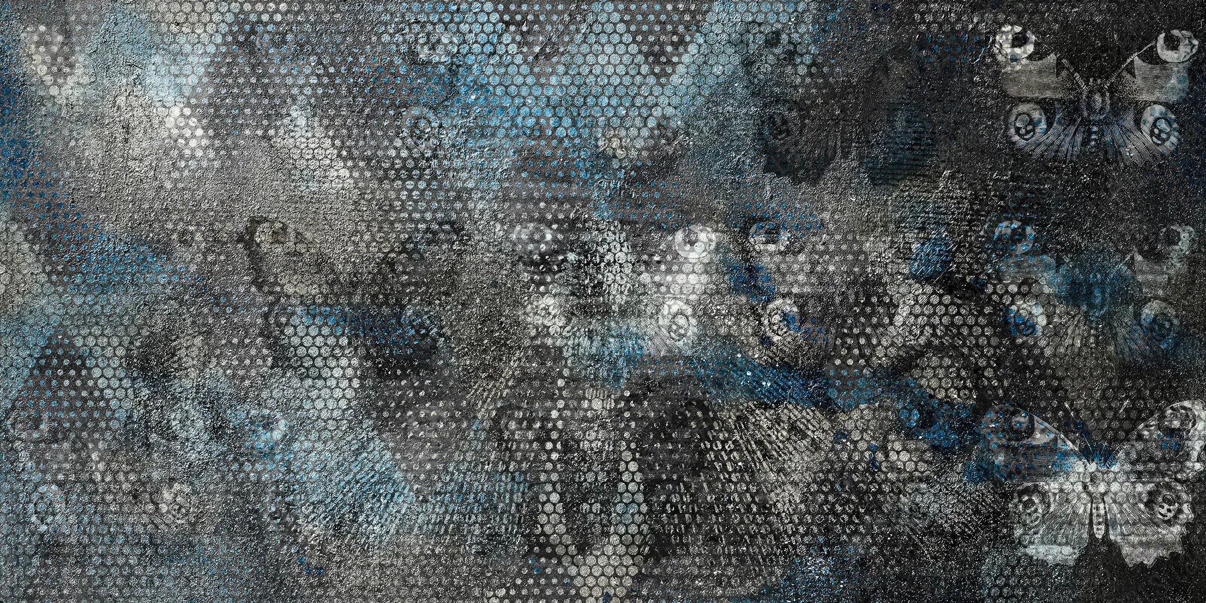 230081