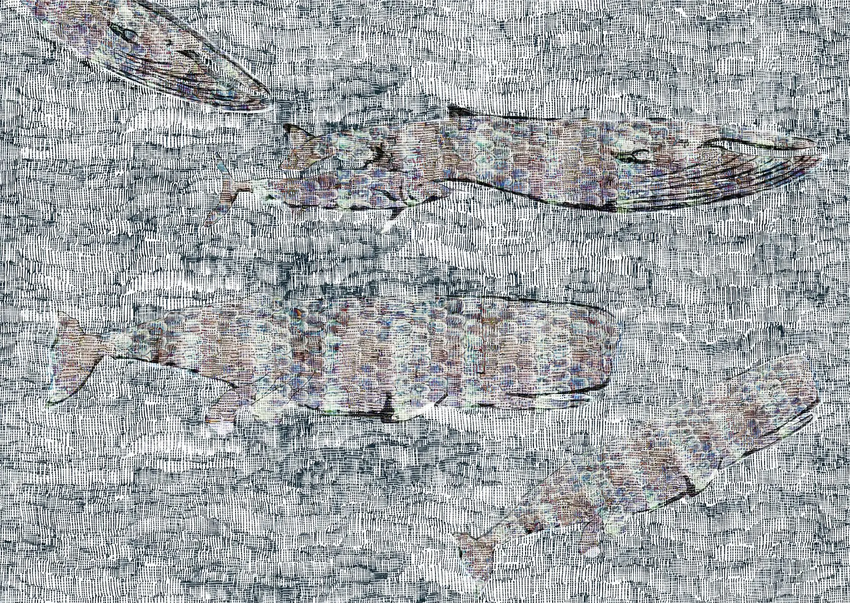 230126