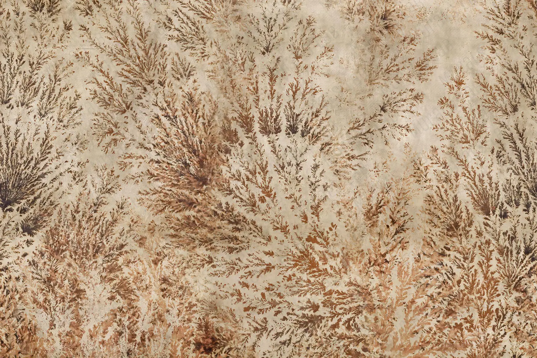 250051