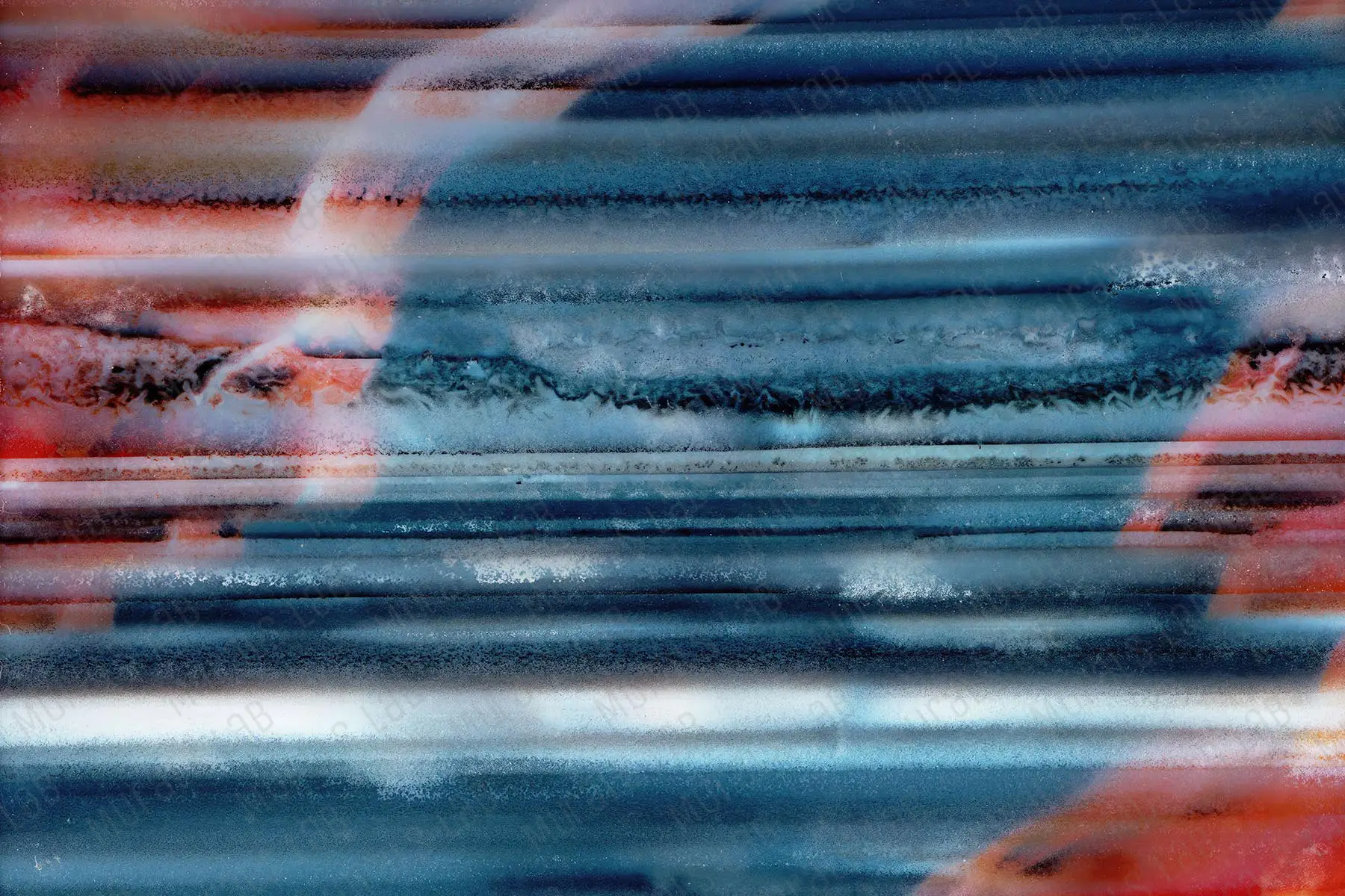 120006