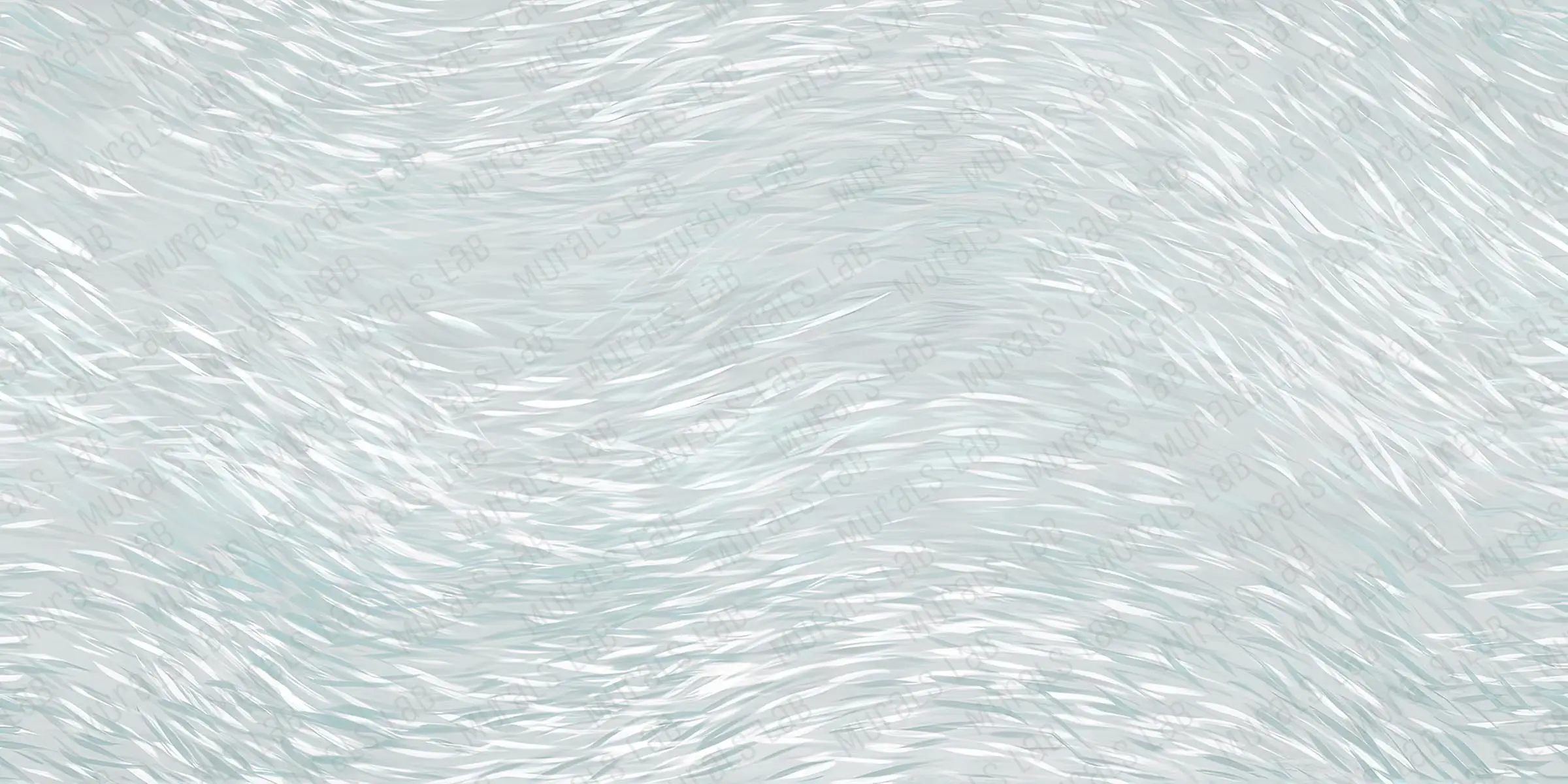 120051