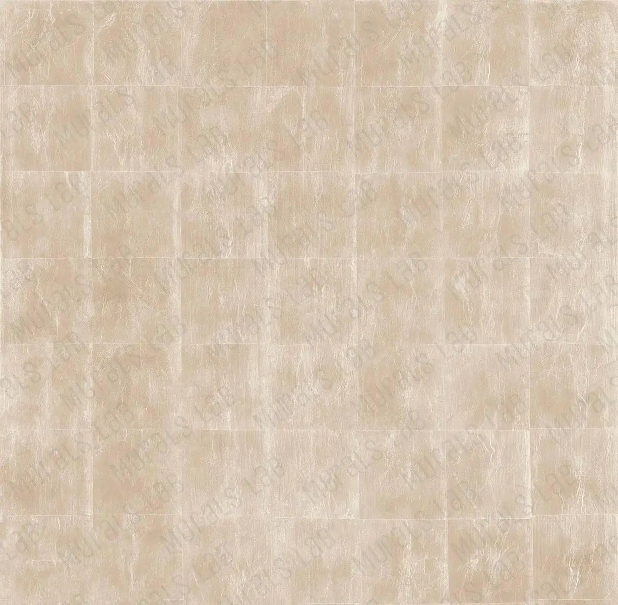 120053