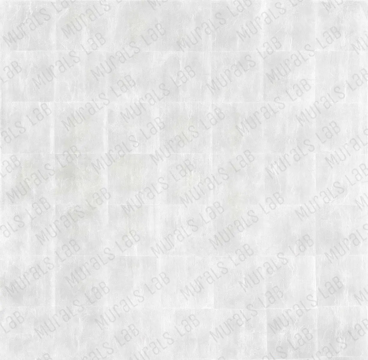 120054