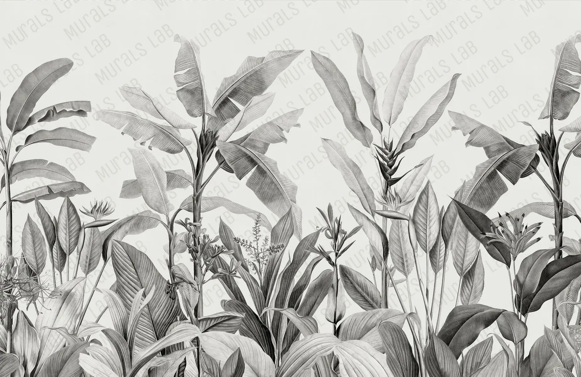 Tropikal Duvar Posteri 63 040080